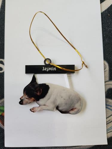 Customer photo by Verified buyer