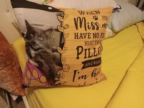 Customer photo by Elizabeth L.