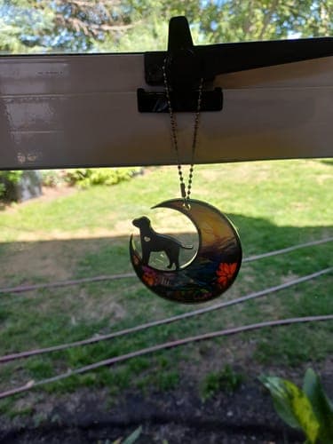 Customer photo by Phillipa M.
