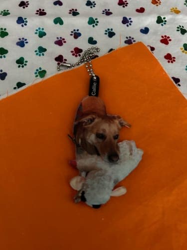 Customer photo by Verified buyer