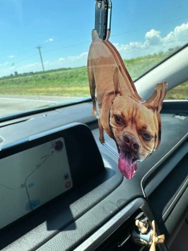 Customer photo by Verified buyer