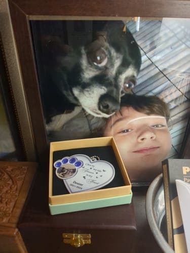 Customer photo by Verified buyer