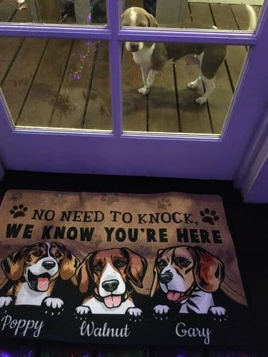 Customer photo by Verified buyer