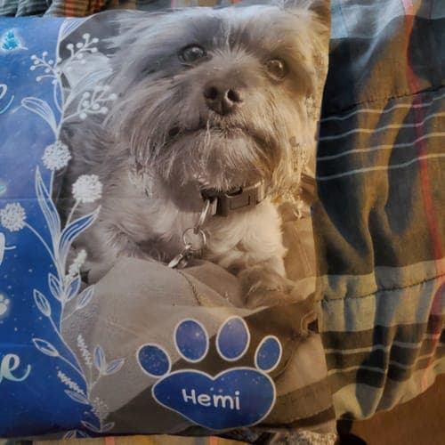 Customer photo by Karen P.