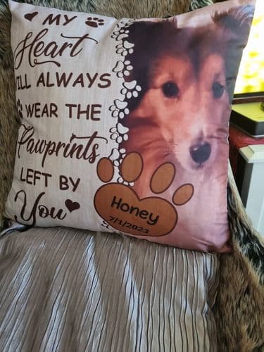 Customer photo by Verified buyer