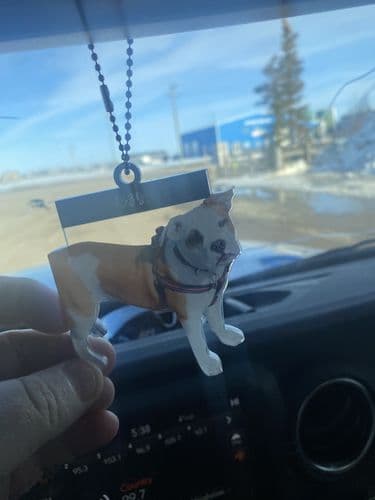 Customer photo by Verified buyer