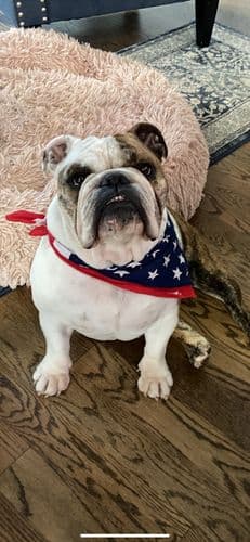 Customer photo by Rosemarie S.