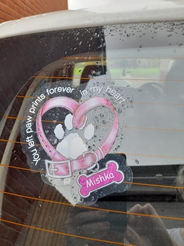 Customer photo by Lynne S.