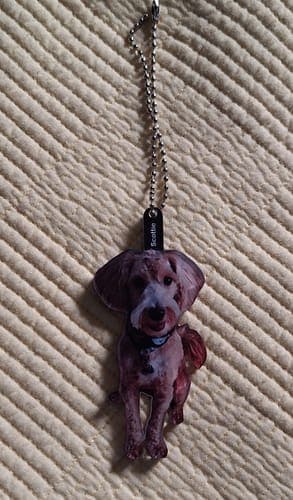 Customer photo by Verified buyer