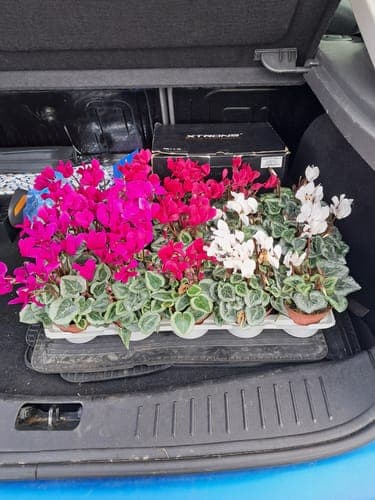 Customer photo by Patricia P.
