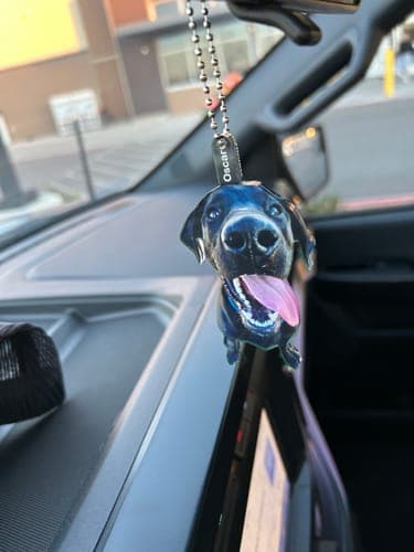 Customer photo by Verified buyer