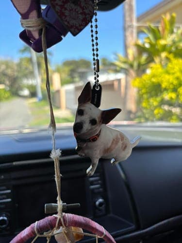 Customer photo by Verified buyer