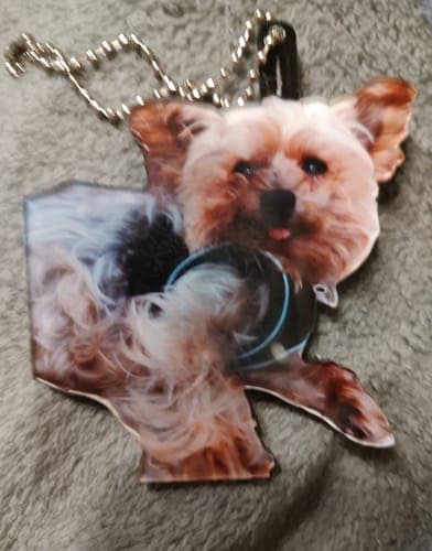 Customer photo by Verified buyer