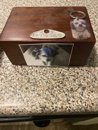 Customer photo by Donald. H D.