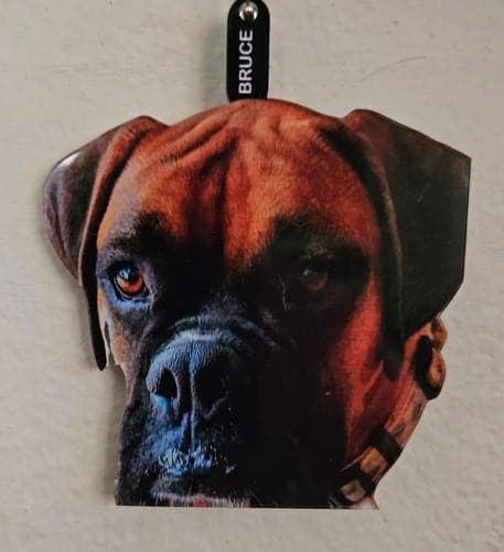 Customer photo by Verified buyer