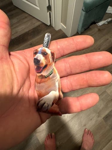 Customer photo by Verified buyer