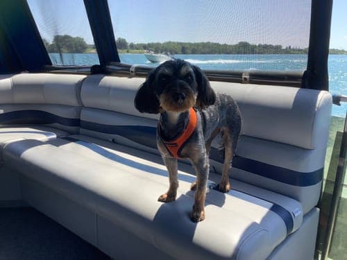Customer photo by Darlene P.
