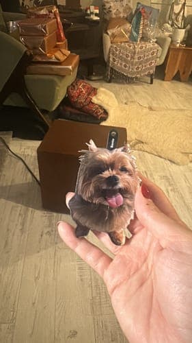 Customer photo by Verified buyer