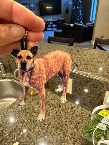 Customer photo by Verified buyer