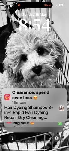 Customer photo by Judith S.