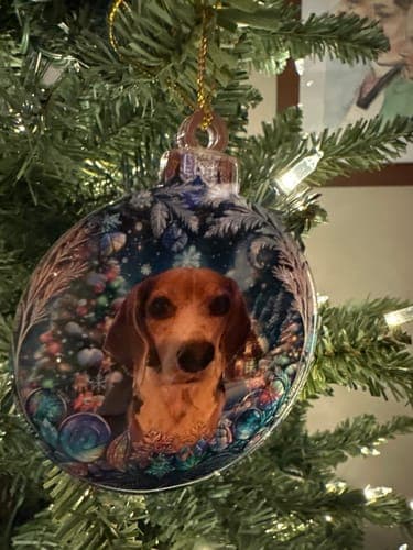 Customer photo by Donna B.