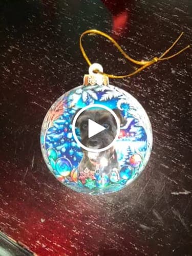 Customer photo by Verified buyer