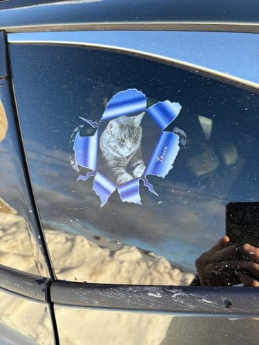 Customer photo by Elizabeth M.